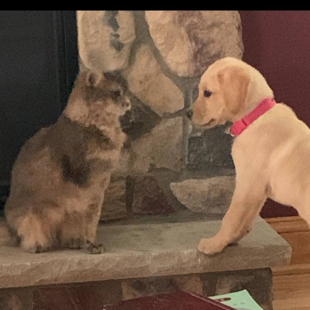 Meet your Posher, Gina